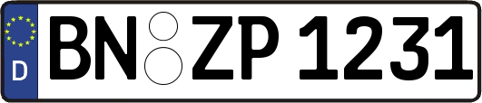BN-ZP1231