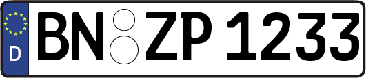 BN-ZP1233