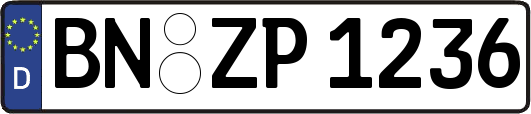 BN-ZP1236