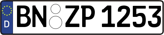 BN-ZP1253