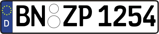BN-ZP1254