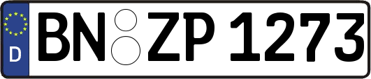 BN-ZP1273