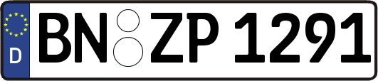 BN-ZP1291