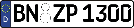 BN-ZP1300