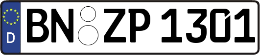 BN-ZP1301