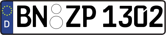 BN-ZP1302