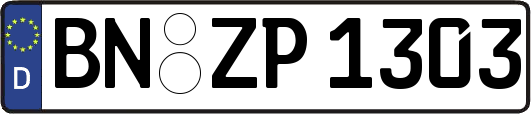 BN-ZP1303