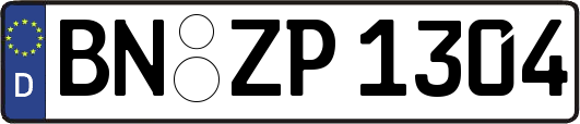 BN-ZP1304