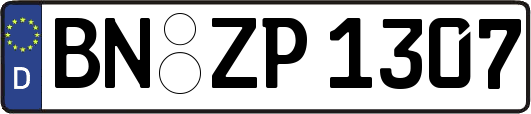 BN-ZP1307