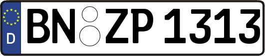 BN-ZP1313