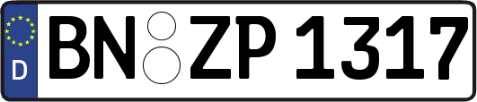 BN-ZP1317