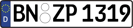 BN-ZP1319
