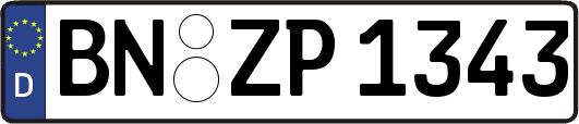 BN-ZP1343