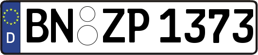 BN-ZP1373