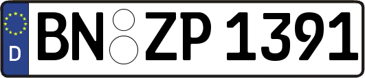 BN-ZP1391