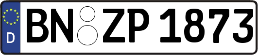 BN-ZP1873