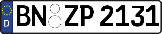 BN-ZP2131