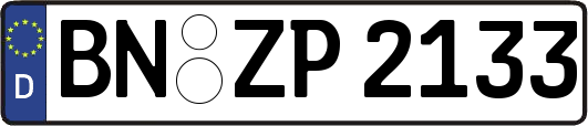 BN-ZP2133