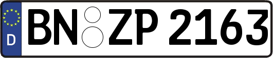 BN-ZP2163
