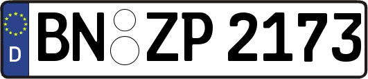 BN-ZP2173