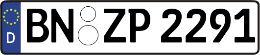 BN-ZP2291