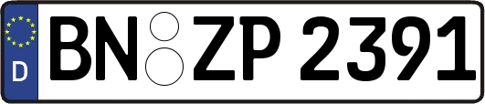 BN-ZP2391