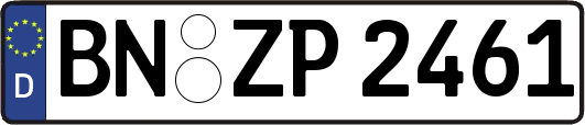 BN-ZP2461