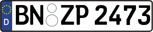 BN-ZP2473