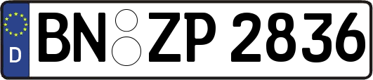 BN-ZP2836