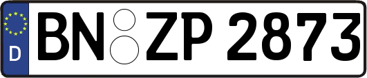 BN-ZP2873