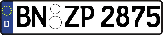 BN-ZP2875