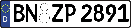 BN-ZP2891