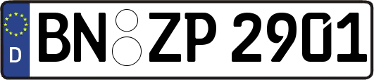 BN-ZP2901