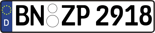 BN-ZP2918