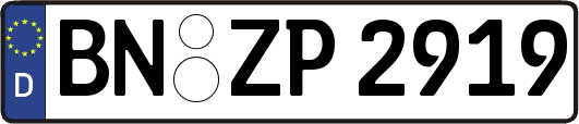 BN-ZP2919