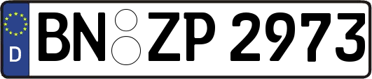 BN-ZP2973