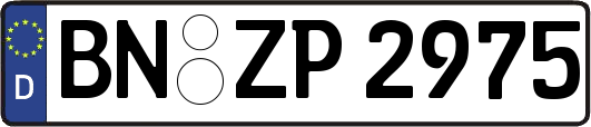 BN-ZP2975