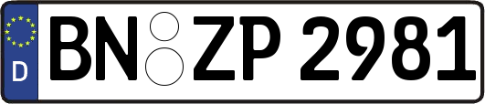 BN-ZP2981