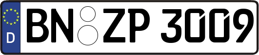 BN-ZP3009