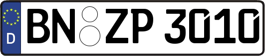 BN-ZP3010