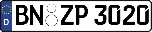 BN-ZP3020