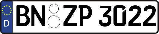 BN-ZP3022