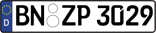 BN-ZP3029