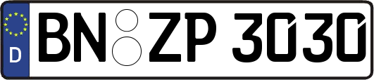 BN-ZP3030