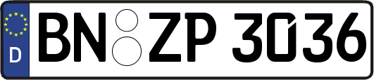 BN-ZP3036