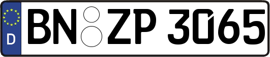 BN-ZP3065