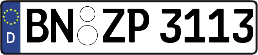 BN-ZP3113