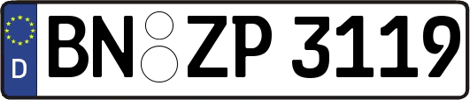 BN-ZP3119