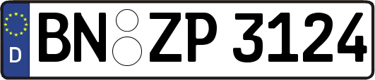BN-ZP3124