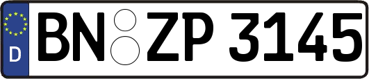 BN-ZP3145